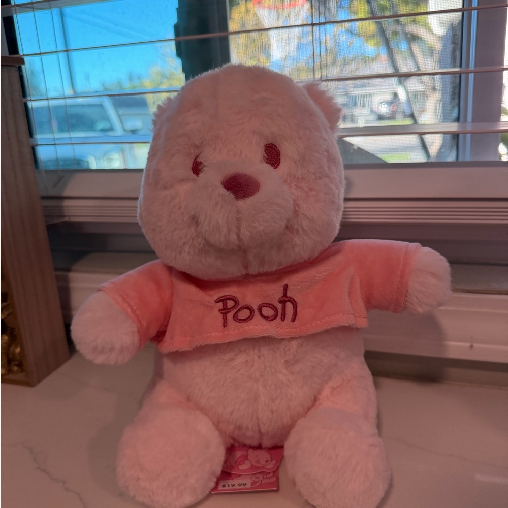 Disney Winnie the Pooh Pink Stuffed Animal